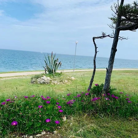 Apartman Alexandra Premantura