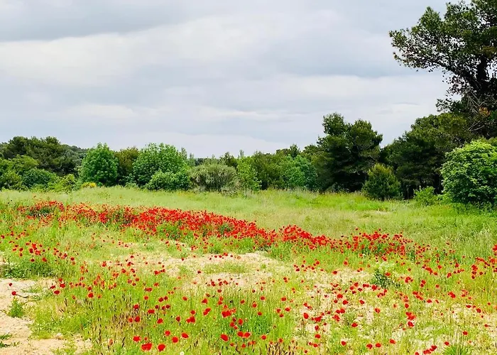 Alexandra Premantura